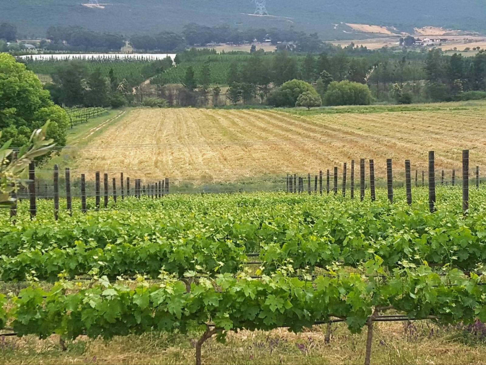 Lemberg Wine Estate Villa Tulbagh Esterno foto